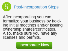 5 Steps to Online Incorporation